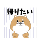 仕事に奮闘する愛くるしい動物たち（個別スタンプ：20）