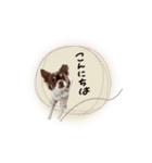 ♡たえこ 様（個別スタンプ：2）
