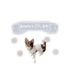 ♡たえこ 様（個別スタンプ：3）
