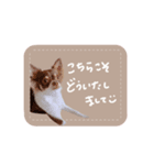 ♡たえこ 様（個別スタンプ：4）