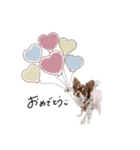 ♡たえこ 様（個別スタンプ：6）