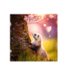 さくら日和の動物たち（個別スタンプ：1）