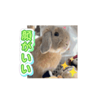 かわいいるーたん2（個別スタンプ：9）