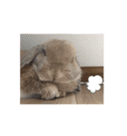 かわいいるーたん2（個別スタンプ：13）