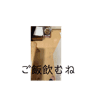 ほぼ逆再生スタンプ（個別スタンプ：1）
