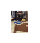 ほぼ逆再生スタンプ（個別スタンプ：4）