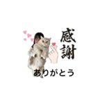 animal1150（個別スタンプ：2）