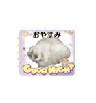 animal1150（個別スタンプ：3）