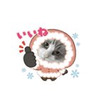 animal1150（個別スタンプ：5）