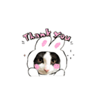 animal1150（個別スタンプ：9）