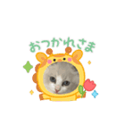 animal1150（個別スタンプ：13）