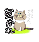 毎日会いたい おしゃべりなネコたち2（個別スタンプ：2）