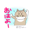 毎日会いたい おしゃべりなネコたち2（個別スタンプ：18）