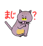 毎日会いたい おしゃべりなネコたち2（個別スタンプ：27）