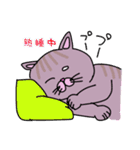 毎日会いたい おしゃべりなネコたち2（個別スタンプ：31）