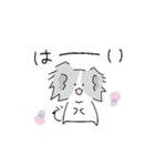 思いやりのパピヨン｜日常（個別スタンプ：6）
