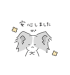 思いやりのパピヨン｜日常（個別スタンプ：13）