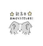 思いやりのパピヨン｜日常（個別スタンプ：17）