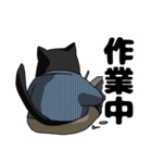 怠惰なねこ（個別スタンプ：10）