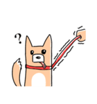 さんぽの最中に会話を楽しむ柴犬（個別スタンプ：2）