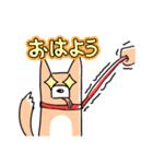 さんぽの最中に会話を楽しむ柴犬（個別スタンプ：3）
