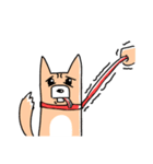 さんぽの最中に会話を楽しむ柴犬（個別スタンプ：12）