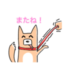 さんぽの最中に会話を楽しむ柴犬（個別スタンプ：16）