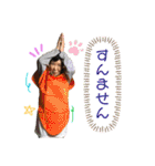 かめたにふぁみりー☆〜（ゝ。∂）（個別スタンプ：8）