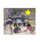 かめたにふぁみりー☆〜（ゝ。∂）（個別スタンプ：10）