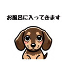 ミニチュアダックスのきもち♡（個別スタンプ：19）