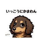 ミニチュアダックスのきもち♡（個別スタンプ：24）