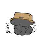 ツンツンにゃんこ（個別スタンプ：2）