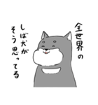 よく使う黒柴犬スタンプ【ネタ編】（個別スタンプ：1）