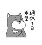 よく使う黒柴犬スタンプ【ネタ編】（個別スタンプ：3）