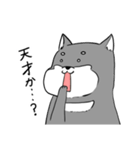 よく使う黒柴犬スタンプ【ネタ編】（個別スタンプ：5）