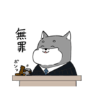 よく使う黒柴犬スタンプ【ネタ編】（個別スタンプ：12）