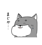 よく使う黒柴犬スタンプ【ネタ編】（個別スタンプ：14）