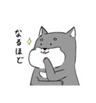 よく使う黒柴犬スタンプ【ネタ編】（個別スタンプ：16）