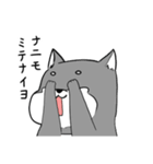 よく使う黒柴犬スタンプ【ネタ編】（個別スタンプ：19）