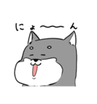 よく使う黒柴犬スタンプ【ネタ編】（個別スタンプ：37）