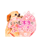 キラキラ動く♪水彩スタンプ（個別スタンプ：11）