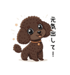 トイプーお気軽メッセージ 1（個別スタンプ：3）