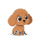 トイプーお気軽メッセージ 1（個別スタンプ：10）