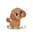 トイプーお気軽メッセージ 1（個別スタンプ：11）