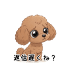 トイプーお気軽メッセージ 1（個別スタンプ：17）
