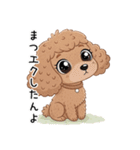 トイプーお気軽メッセージ 1（個別スタンプ：23）