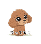 トイプーお気軽メッセージ 1（個別スタンプ：29）