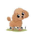 トイプーお気軽メッセージ 1（個別スタンプ：33）