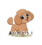 トイプーお気軽メッセージ 1（個別スタンプ：34）
