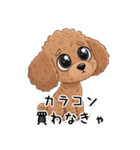 トイプーお気軽メッセージ 1（個別スタンプ：38）